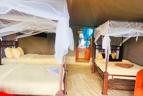 Robin Serengeti Camp