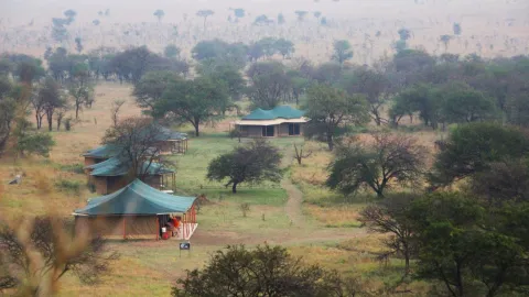 Robin Serengeti Camp