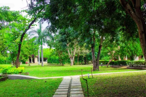 Mikumi Resort And Safari Hotel