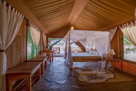 Kibo Safari Camp