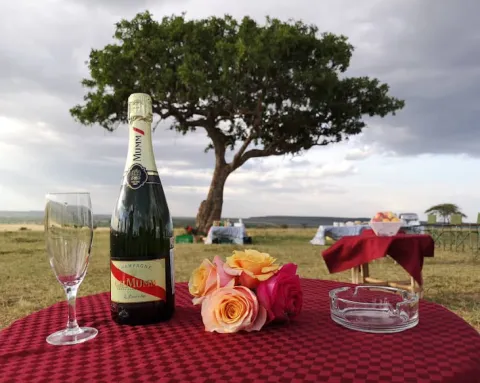 Mara Simba Lodge