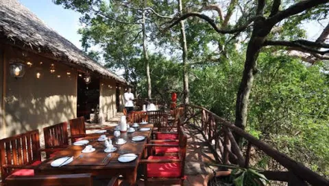 Fig Tree Camp