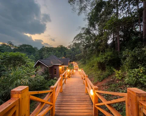 Chimpundu Lodge
