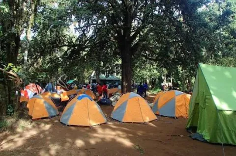 Mti Mkubwa Camp (Big Tree Camp Or Forest Camp)