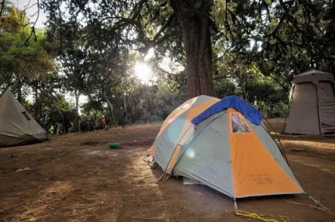 Mti Mkubwa Camp (Big Tree Camp Or Forest Camp)