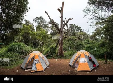 Mti Mkubwa Camp (Big Tree Camp Or Forest Camp)