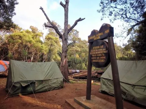 Mti Mkubwa Camp (Big Tree Camp Or Forest Camp)