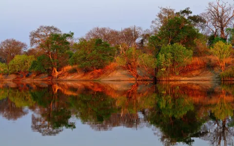 Hippo Lodge