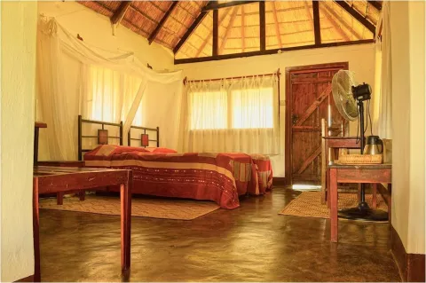 Wildlife Camp