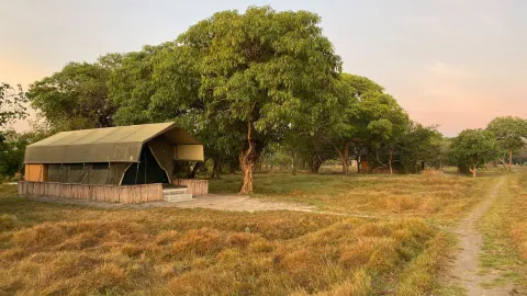 Shoebill Island Camp