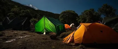 Simba Camp