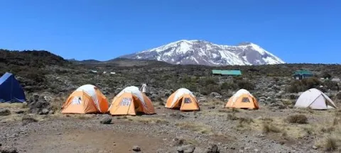 Simba Camp