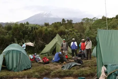 Simba Camp