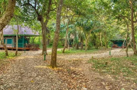 Tanapa Gombe Rest House