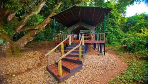 Tanapa Gombe Rest House