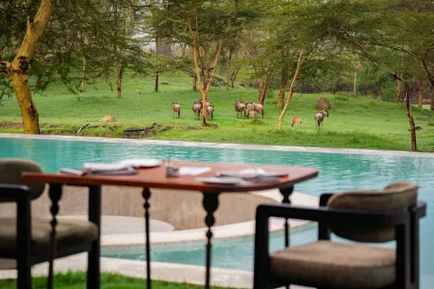 Giraffe Manor Tanzania