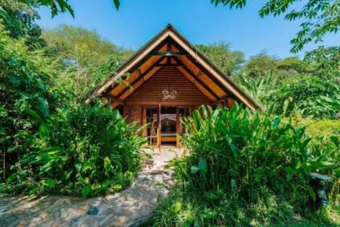 Under the Shades Safari Lodge