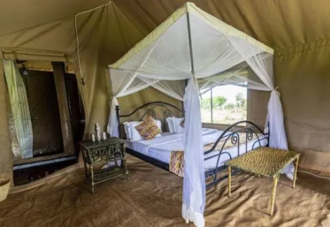 Serengeti Wild Camp