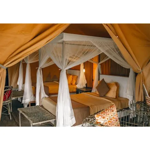 Serengeti Wild Camp