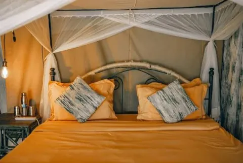 Serengeti Wild Camp