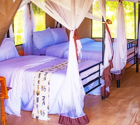 Sero Tented Camp - Ndutu (ncaa)