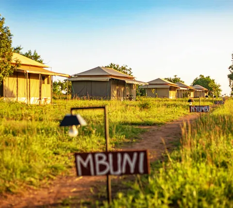 Sero Tented Camp - Ndutu (ncaa)