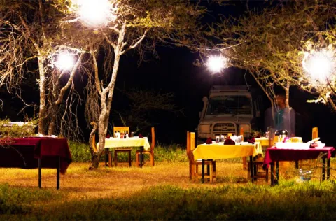 Sero Tented Camp - Ndutu (ncaa)