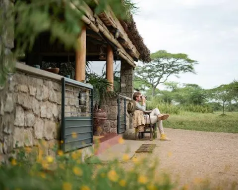 Ndutu Safari Lodge