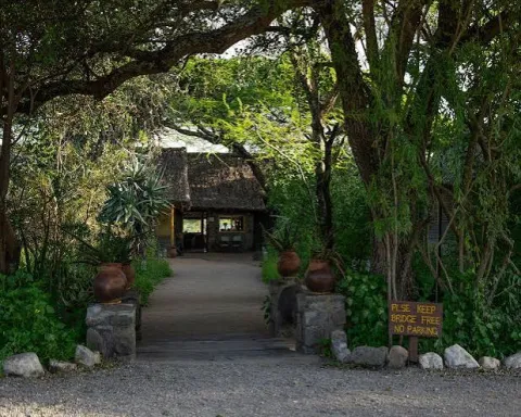 Ndutu Safari Lodge