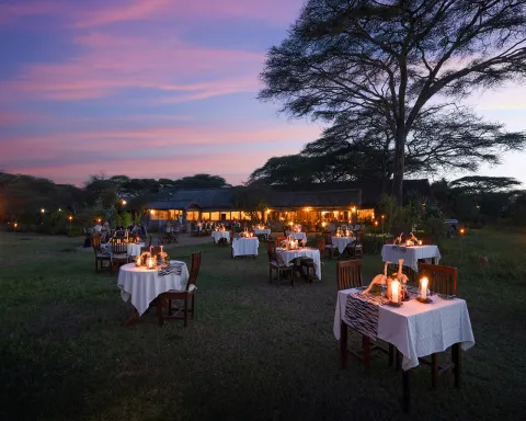 Ndutu Safari Lodge