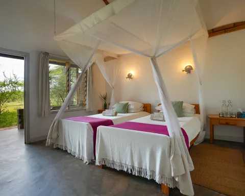 Ndutu Safari Lodge