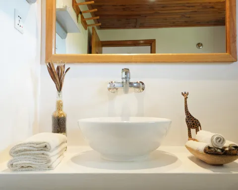 Ndutu Safari Lodge
