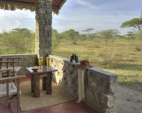 Ndutu Safari Lodge