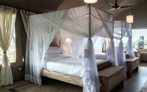 Mara Maisha Camp
