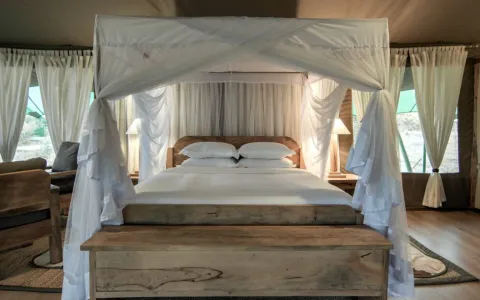 Mara Maisha Camp