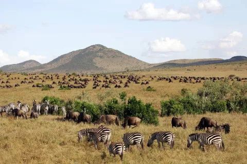 PrideInn Mara Camp