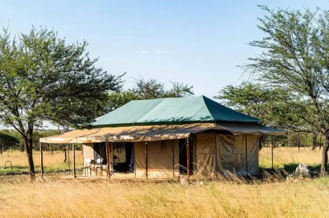 Harmony Safari Camps