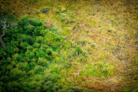 1-Day Selous Day Trip Safari From Zanzibar gallery image