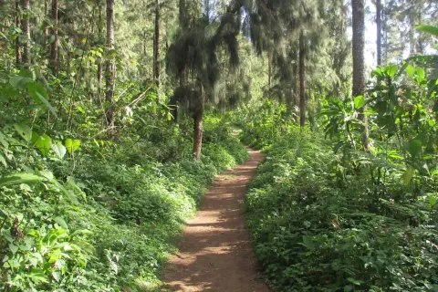 1-Day Materuni Day Trip From Arusha/ Moshi gallery image