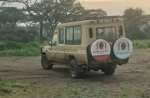 8-Day Amboseli , Lake Manyara, Serengeti, Ngorongoro Crater gallery image