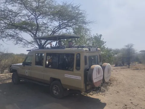 9-Day Ndutu Calving Season and Masai Mara Safari Experience gallery image