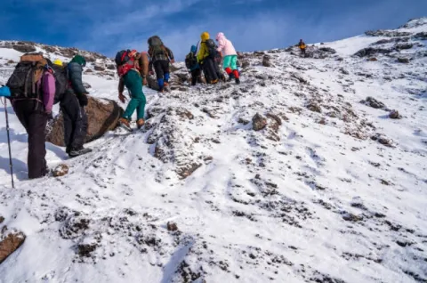 8-Day Kilimanjaro Climbing - Lemosho Trekking gallery image