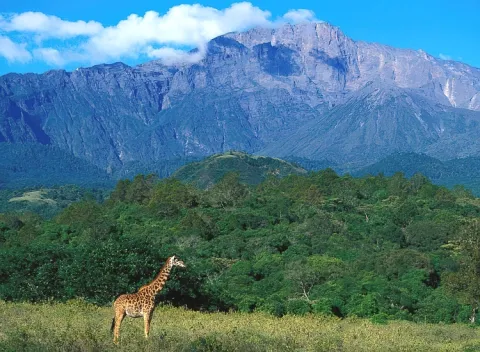 3-Day Mountain Meru Trekking gallery image