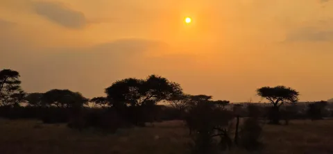 7-Day North Serengeti Great Migration ( July to October): gallery image