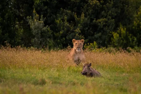 6-Day North Serengeti Migration Safari and Ngorongoro Crater gallery image