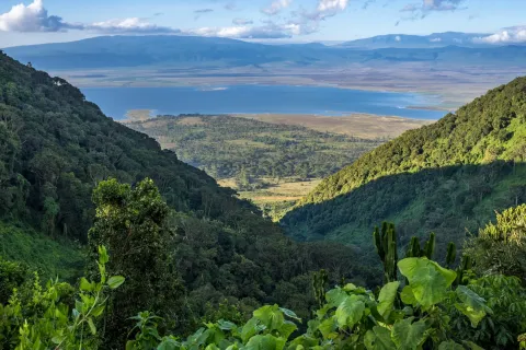 4-Day Tanzania Essential Wildlife Safari gallery image