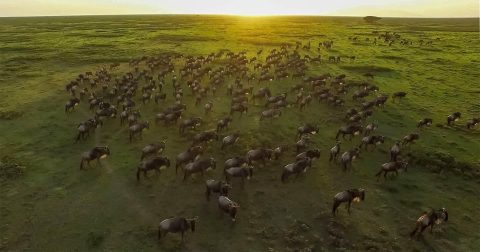 7-Day Ultimate Northern Tanzania Safari: gallery image