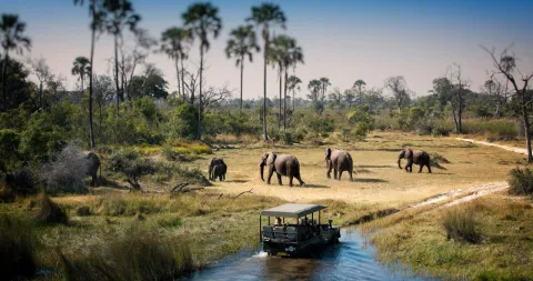 1-Day Full Day Trip to Chobe National Park gallery image