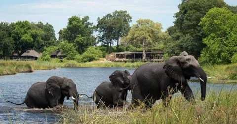 1-Day Full Day Trip to Chobe National Park gallery image