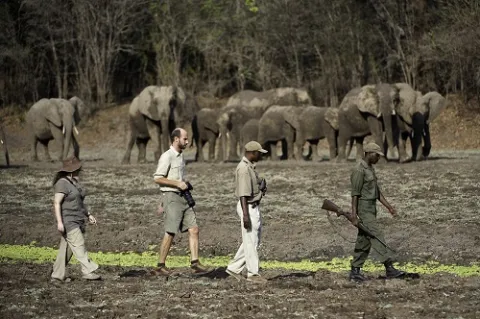8-Day Big Rivers of Zambia gallery image